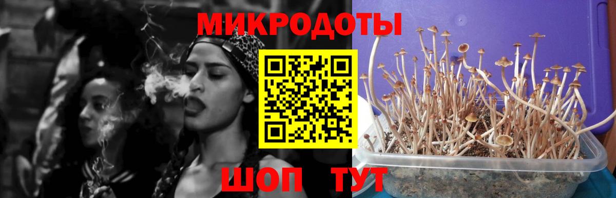 Псилоцибиновые грибы MAGIC MUSHROOMS  Вход с VPN  Таганрог 